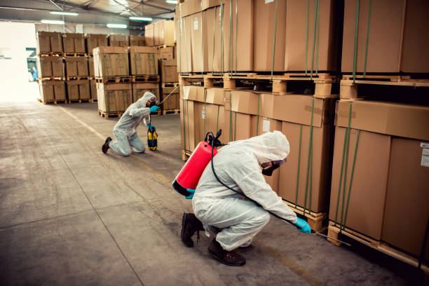 Best Ant Control Services  in Topeka, IN
