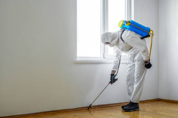 Reliable Topeka, IN Pest Control Solutions