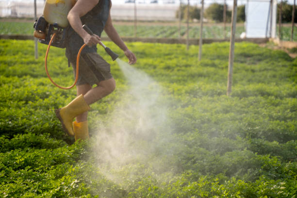 Best Commercial Pest Control Services  in Topeka, IN
