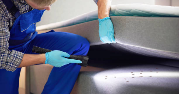 Best Bed Bug Extermination  in Topeka, IN