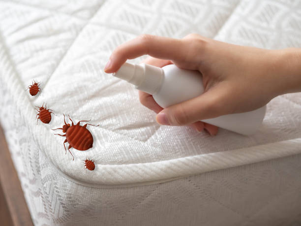 Pest Control for Restaurants in Topeka, IN